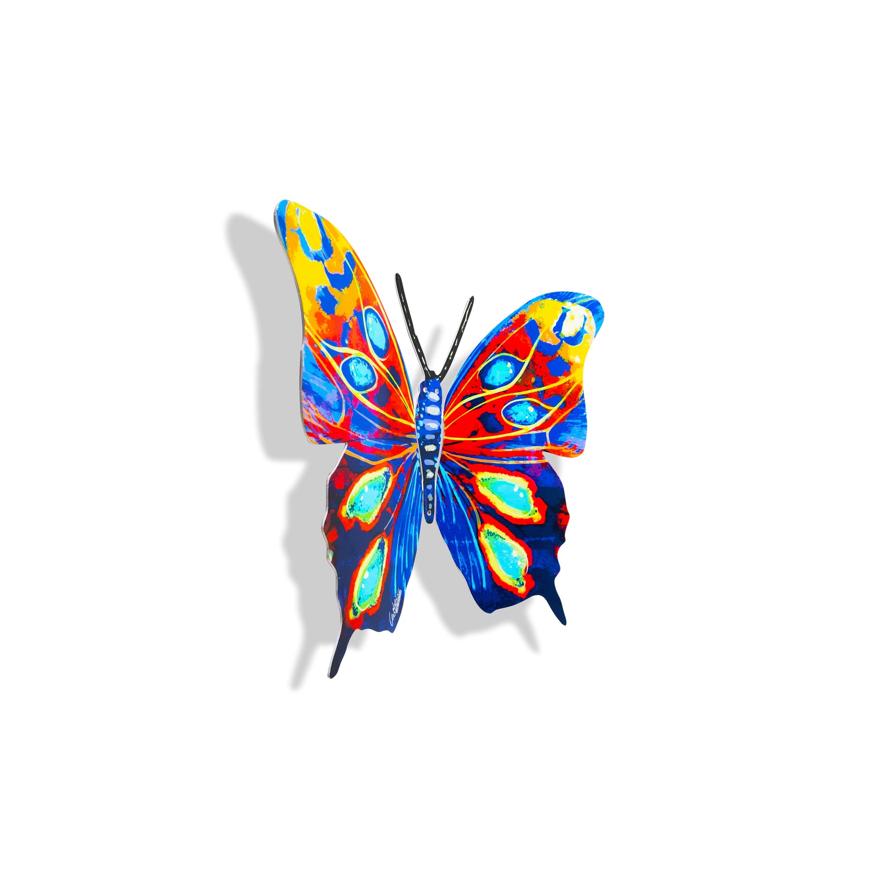 Butterfly-Mira<br>$140.00
