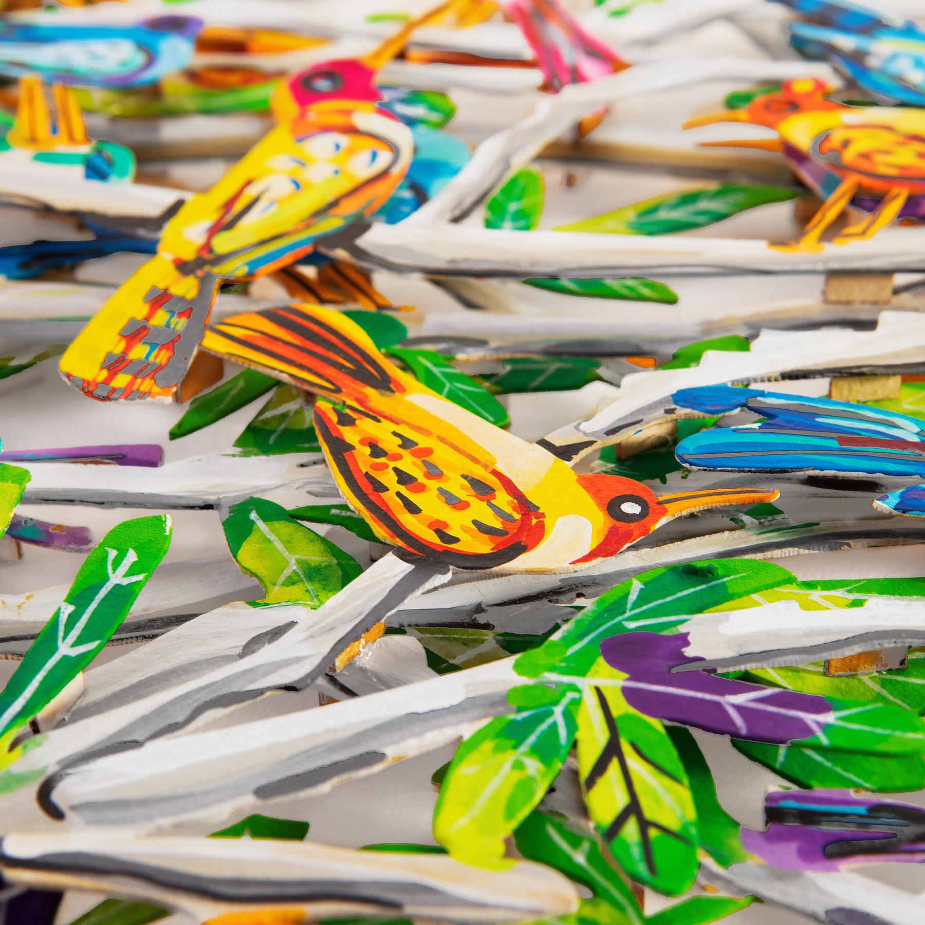 Exotic Birds