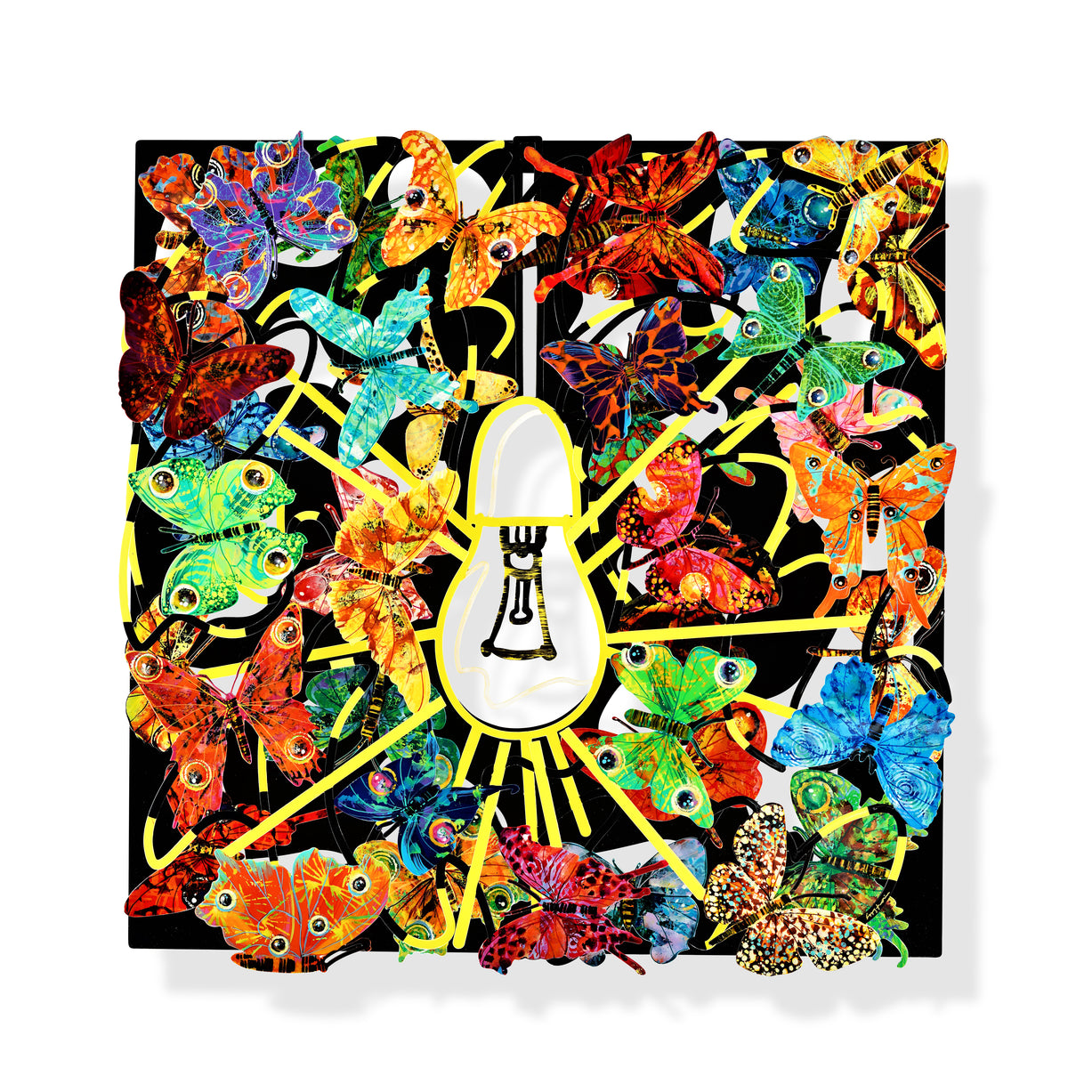 Attraction (Black Background)