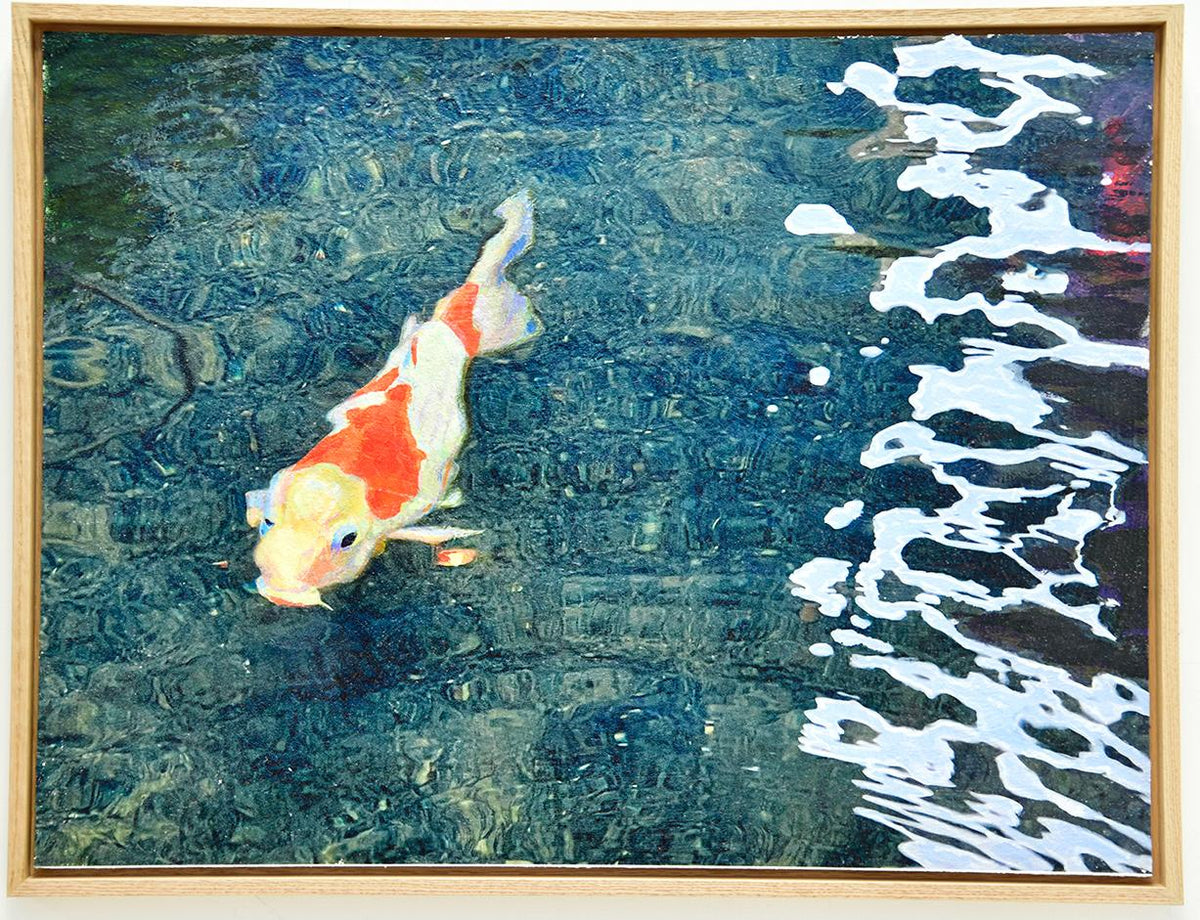 David Gerstein's painting of a single koi fish swimming in a pond with gentle ripples spreading across the water’s surface, highlighting the calm and movement of the scene.