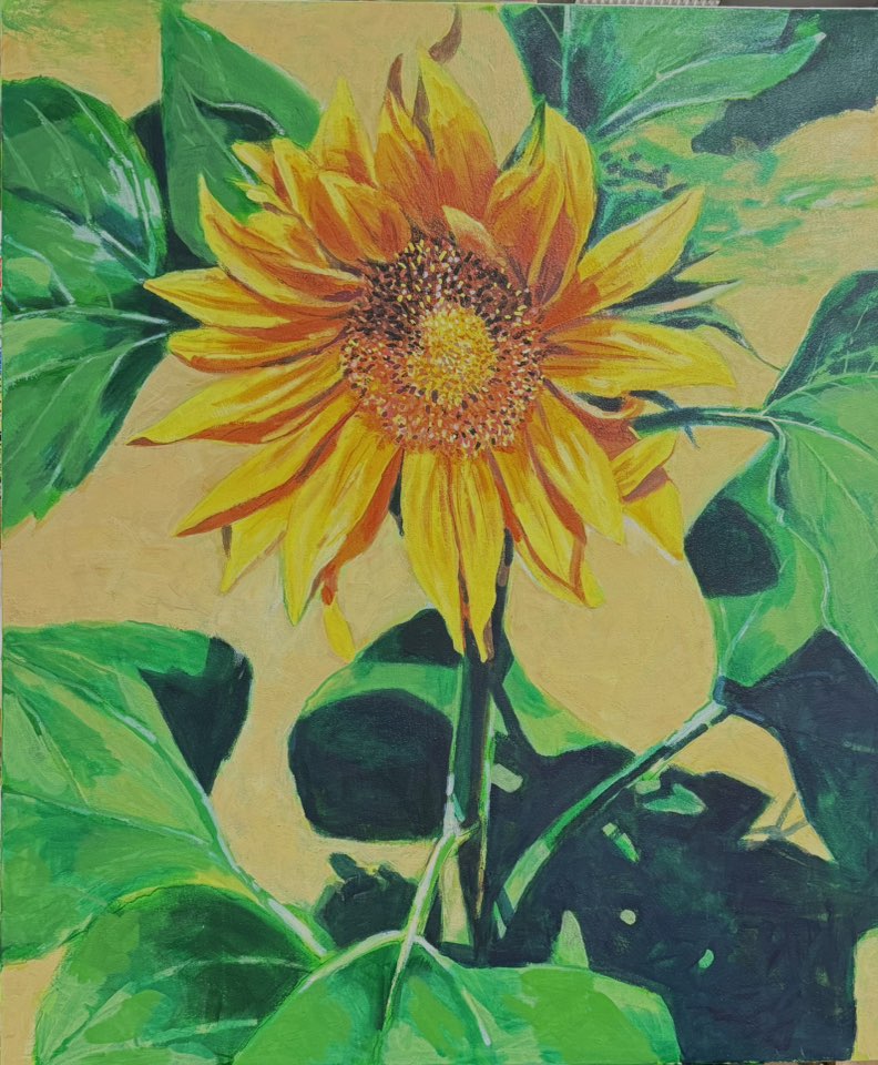 Sun