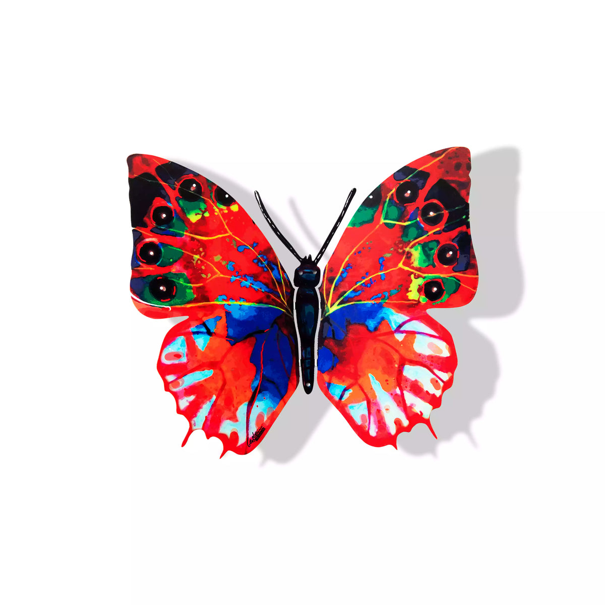 Butterfly-Hadar<br>$140.00