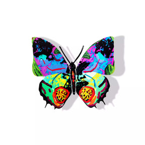 Butterfly-Hadar<br>$140.00