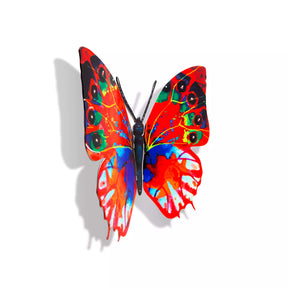 Butterfly-Hadar<br>$140.00