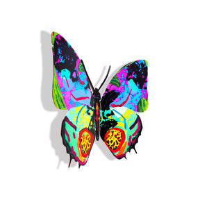 Butterfly-Hadar<br>$140.00