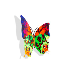 Butterfly-Hava<br>$140.00